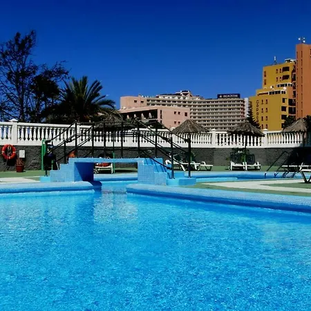 In Perfect Location Apartamento Playa de las Americas (Tenerife)